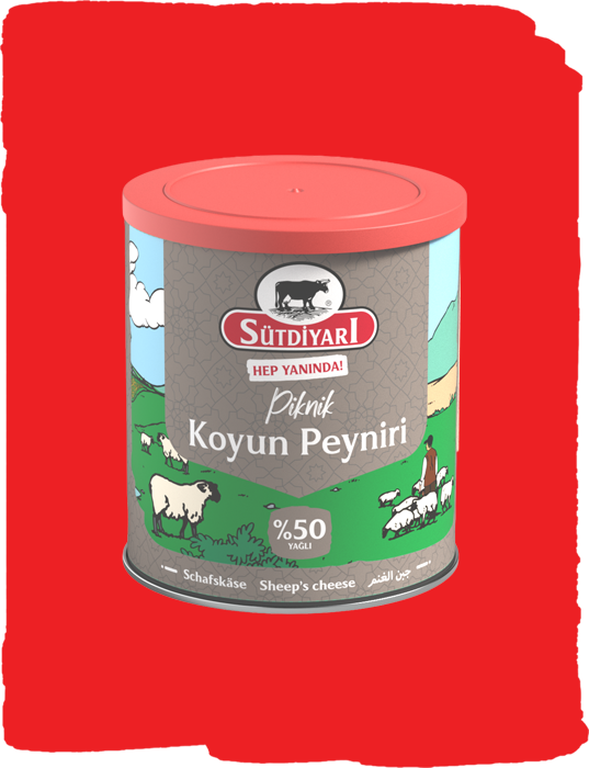 Koyun Peyniri 400g