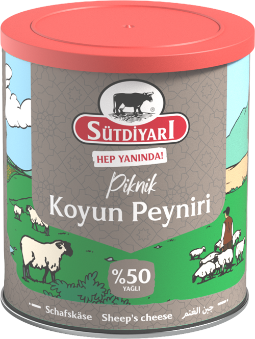 Koyun Peyniri 400g