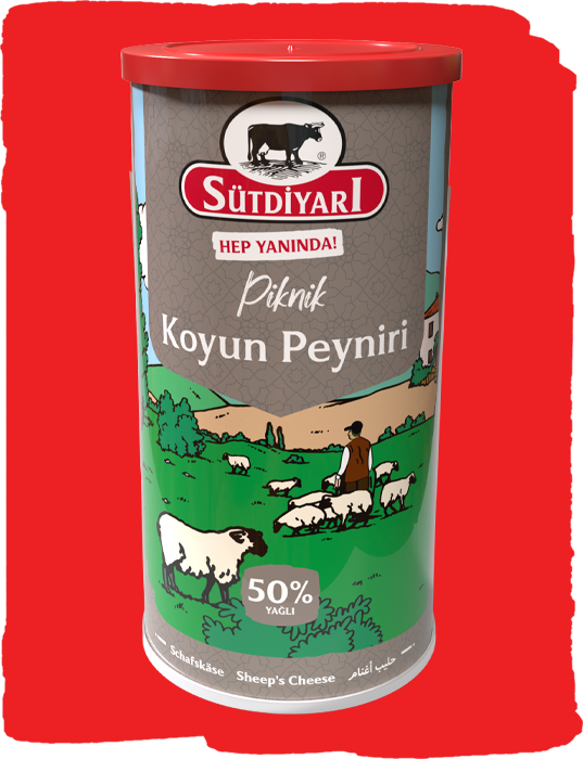 Koyun Peyniri 800g
