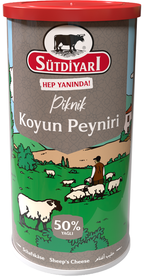 Koyun Peyniri 800g