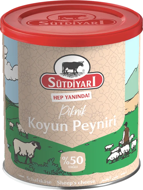 Koyun Peyniri 400g