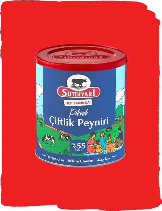 %55 Yağlı Piknik Çiftlik Peyniri 400g