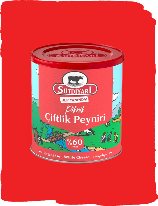 %60 Yağlı Piknik Çiftlik Peyniri 400g