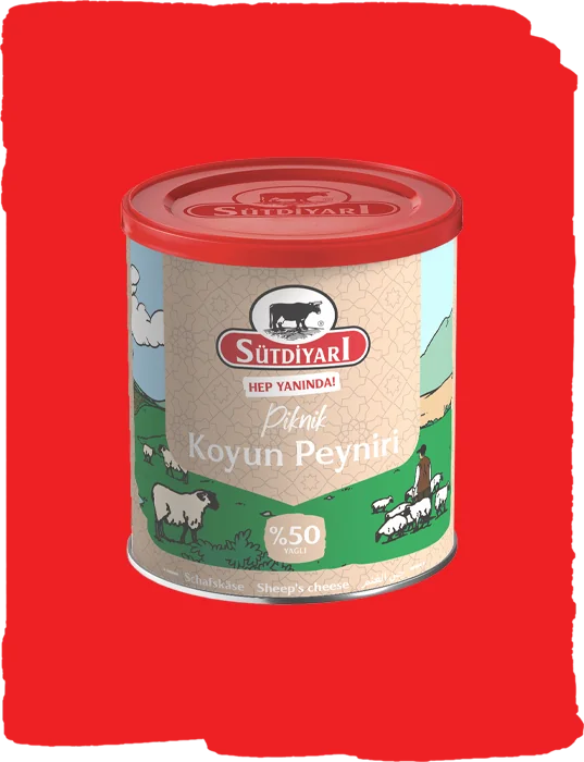 Koyun Peyniri 400g