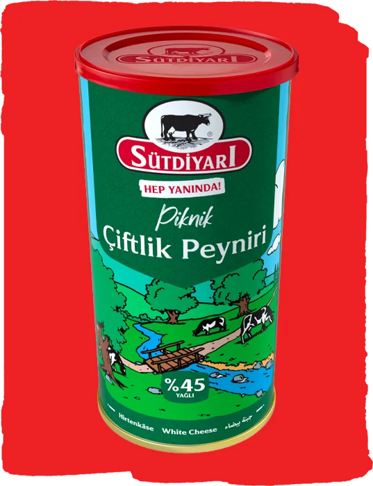 %45 Yağlı Piknik Çiftlik Peyniri 800g