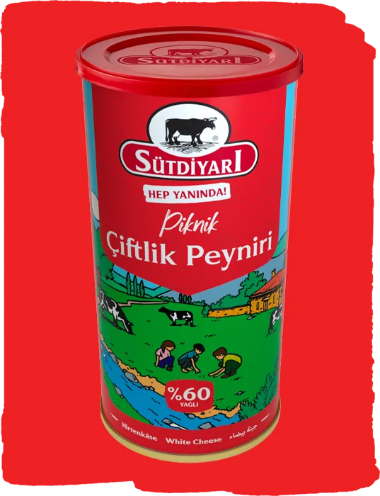 %60 Yağlı Piknik Çiftlik Peyniri 800g