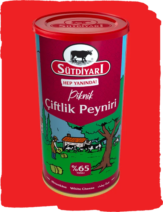 %65 Yağlı Piknik Çiftlik Peyniri 800g