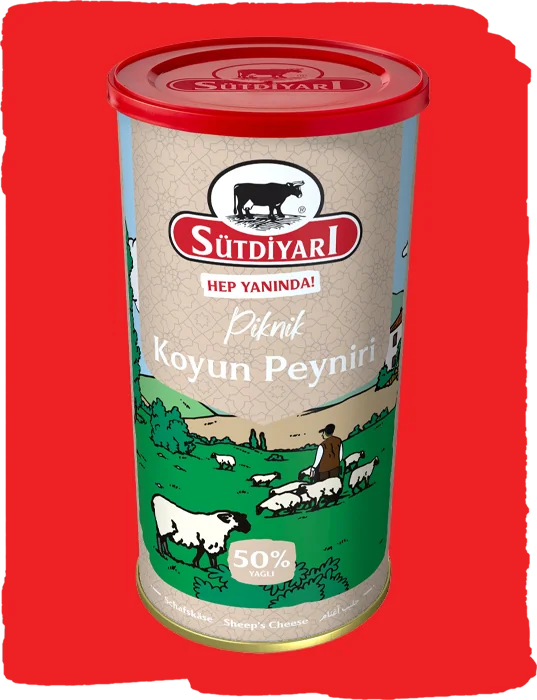 Koyun Peyniri 800g